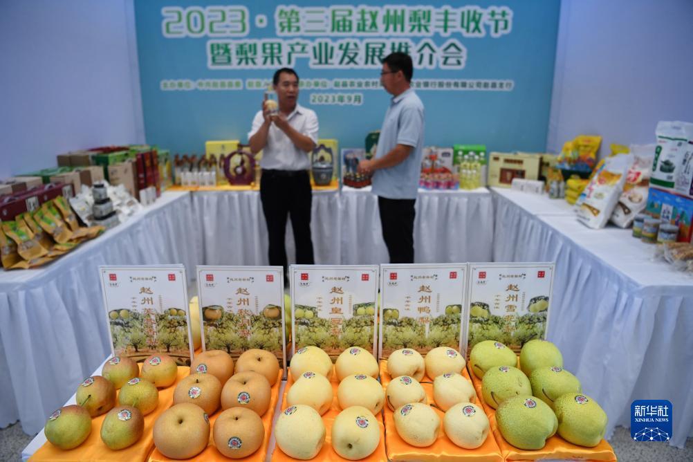 连环夺宝微信qq登录版